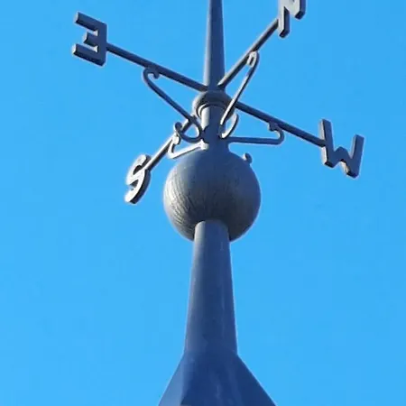Felina