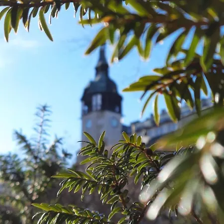 Апартаменты Felina