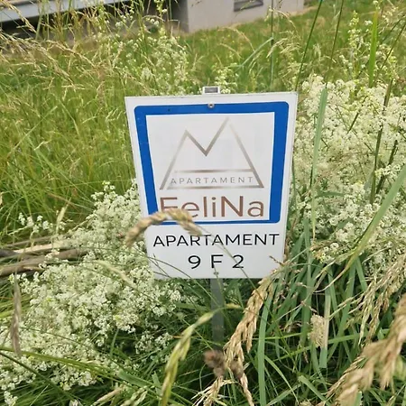 Felina Сверадув-Здруй