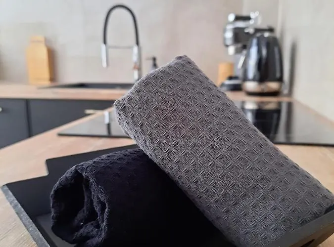 Apartment Felina Swieradow-Zdroj